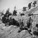 Illustration for article titled 27 Photos You Need To See On The 70th Anniversary Of D-Day